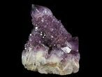 Dark Cactus Quartz (Amethyst) Crystal Cluster - South Africa #64239-1